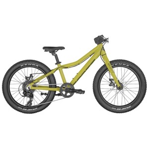 Scott Roxter 20 Green 2023 Detský bicykel
